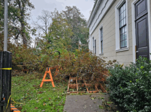 Yard Waste Disposal