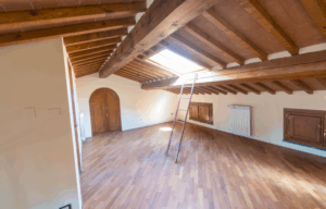 Attic Cleanouts