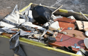 Dumpster Clean up