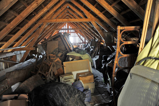 Attic Cleanouts