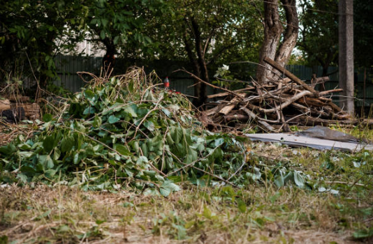 Yard Waste Removal