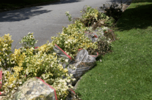 Yard Waste Removal